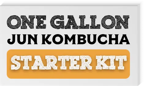 1 Gallon Jun Kombucha Ingredient Pack