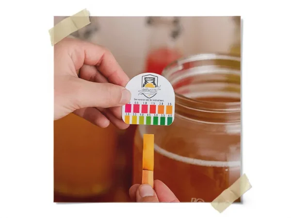 One Gallon Jun Kombucha Kit