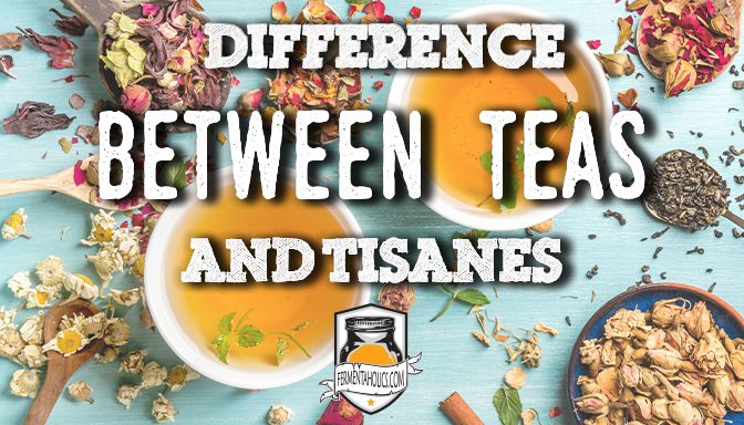 difference between teas and tisanes