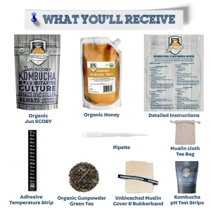 Jun Kombucha Ingredient Pack
