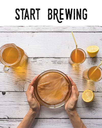 How To Brew Kombucha - Complete Brewing Guide
