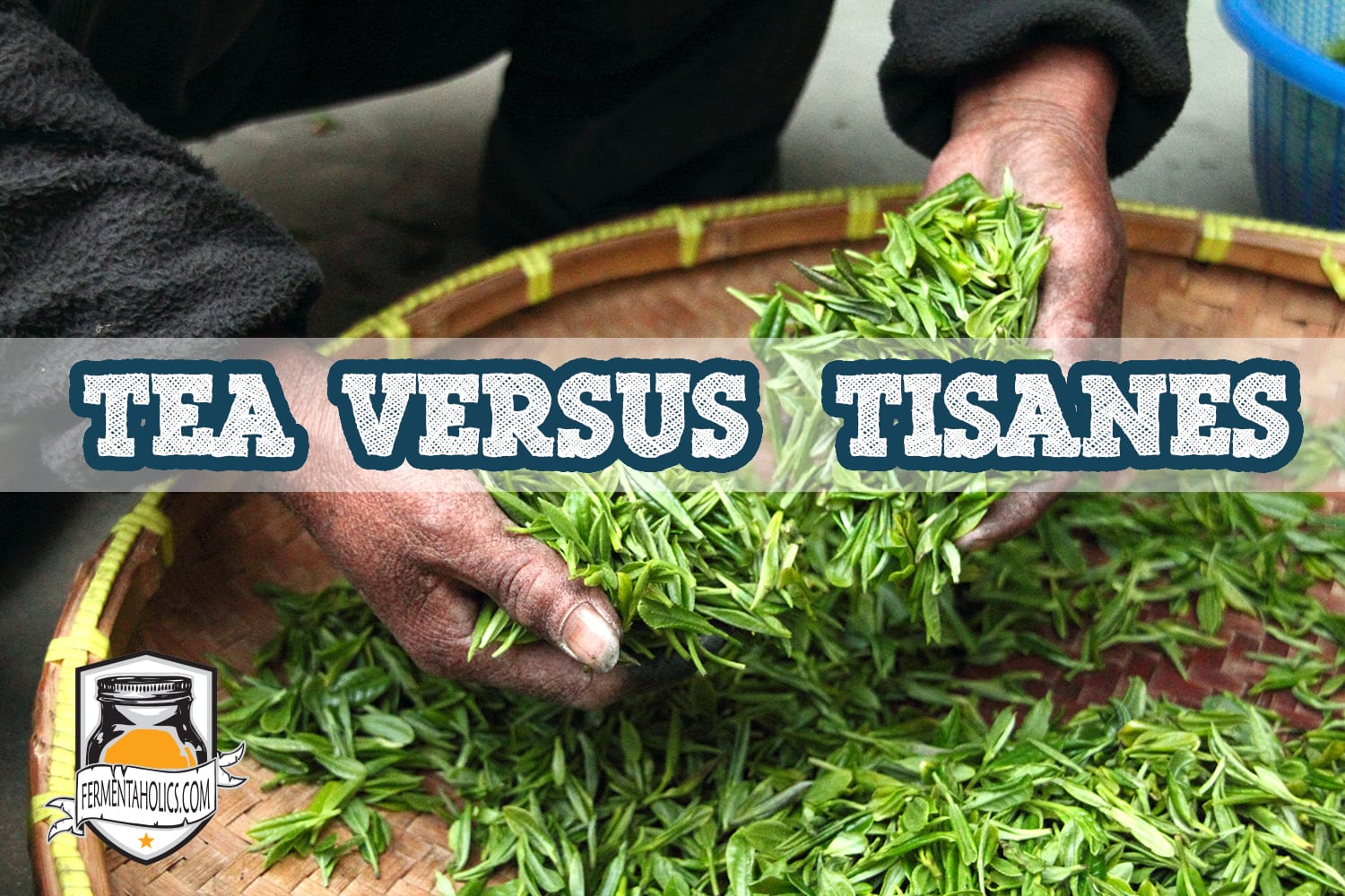 Tea vs Tisane vs Herbal Teas