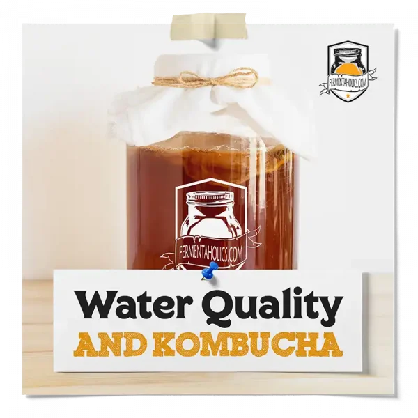 Best Water In Brewing Kombucha