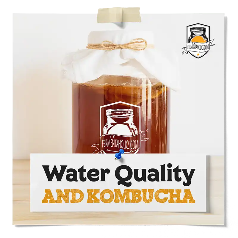Best Water In Brewing Kombucha