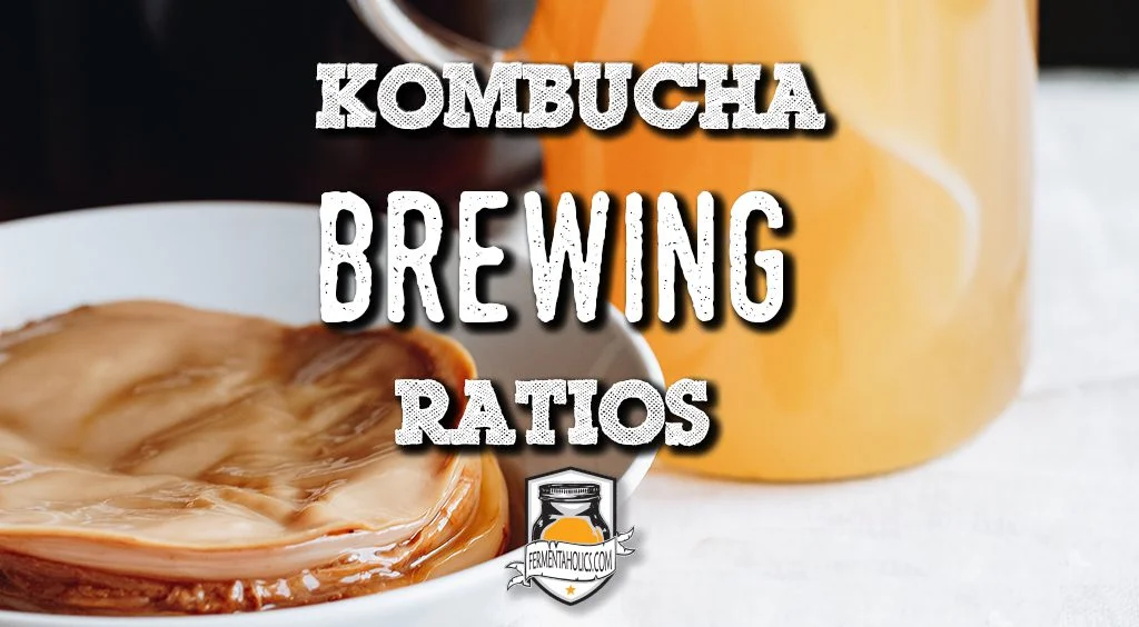 Kombucha Brewing Ratios