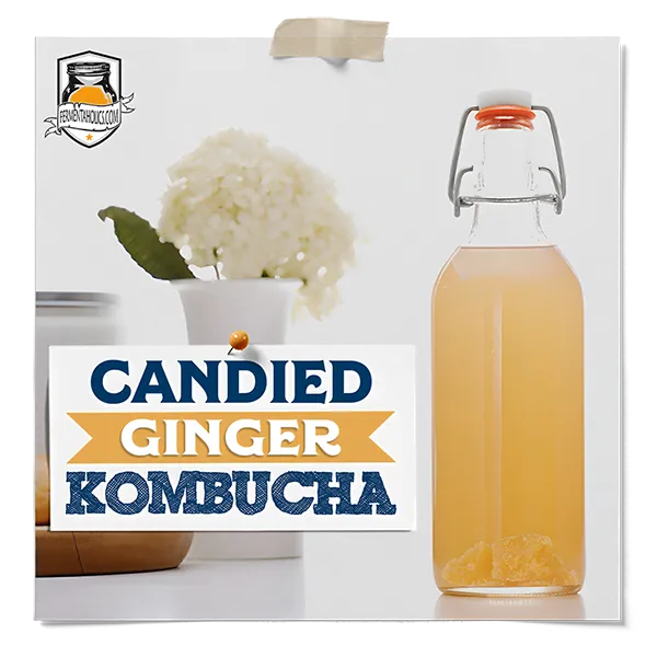Candied Ginger Kombucha Recipe