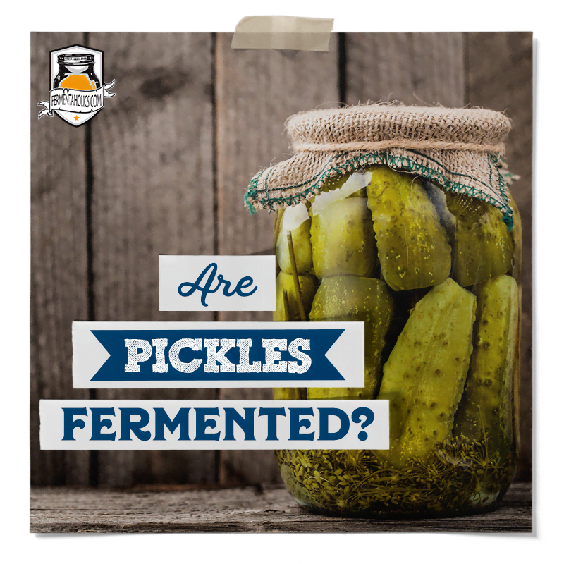 pickled vs fermented