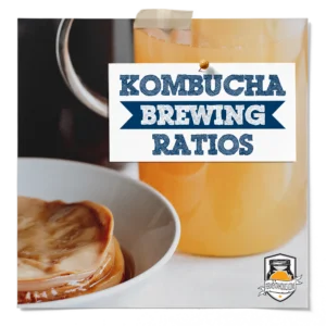 Kombucha Ratios