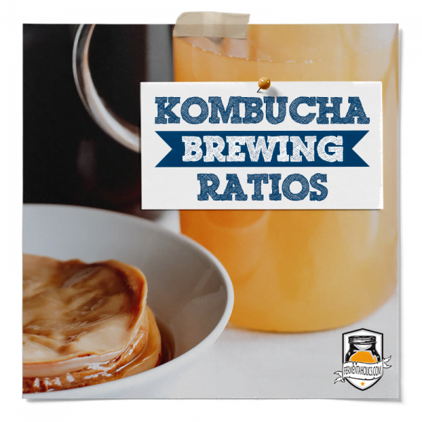 Kombucha Ratios