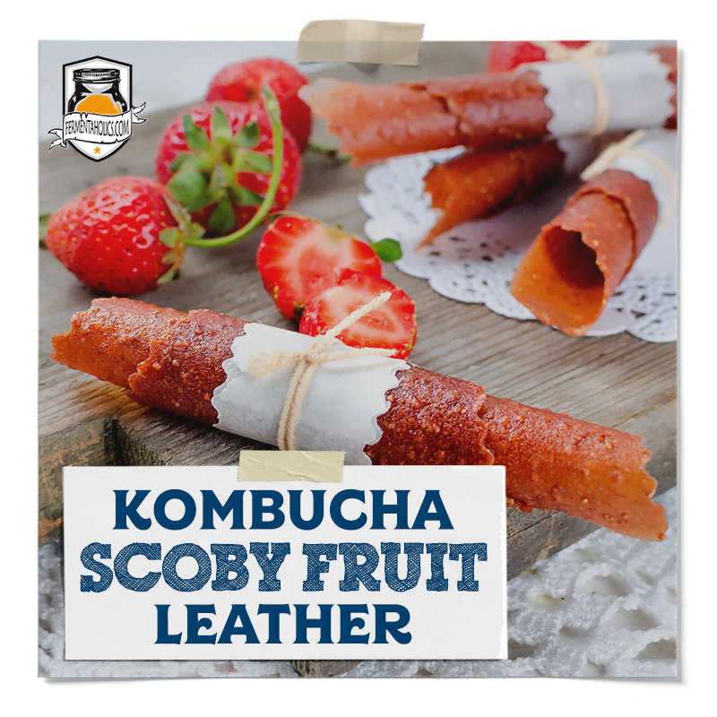 kombucha scoby fruit leather