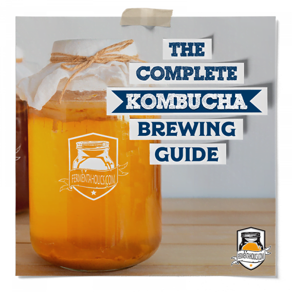Kombucha Beginners Guide