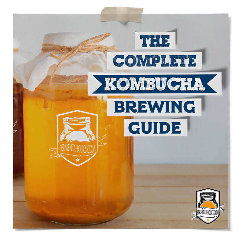 kombucha beginners guide