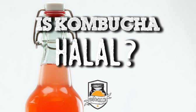 Is Kombucha Halal