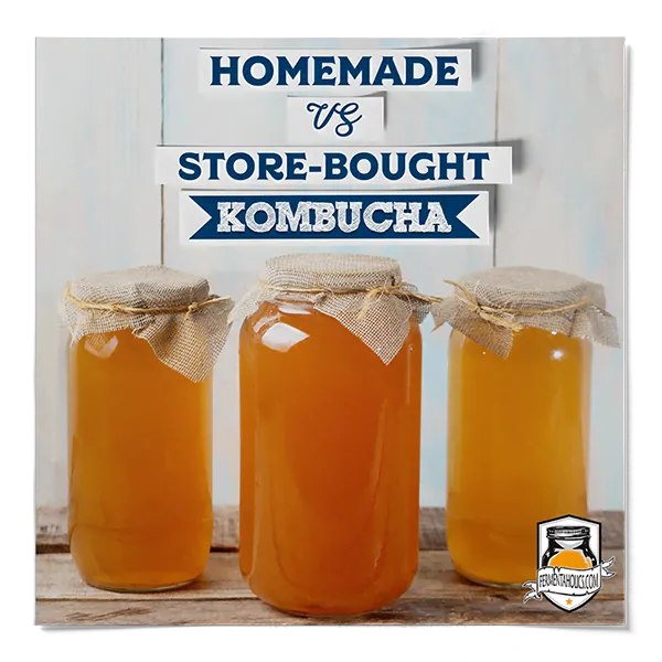 How Much Does Kombucha Cost