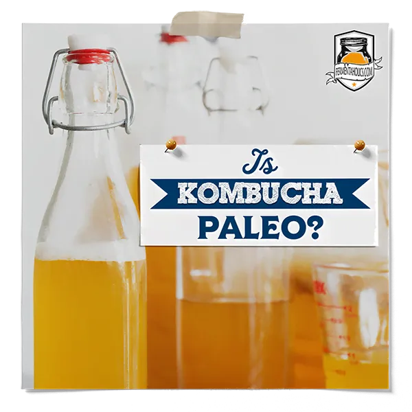 Is Kombucha Paleo