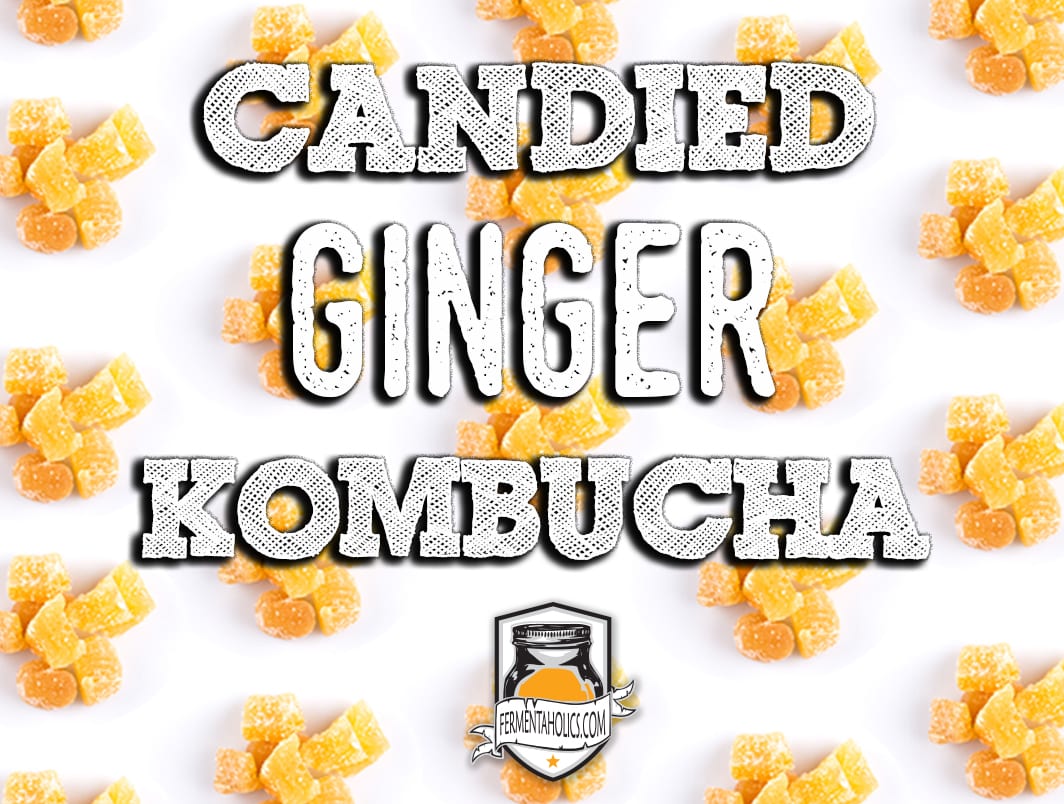 Candied Ginger Kombucha Recipe