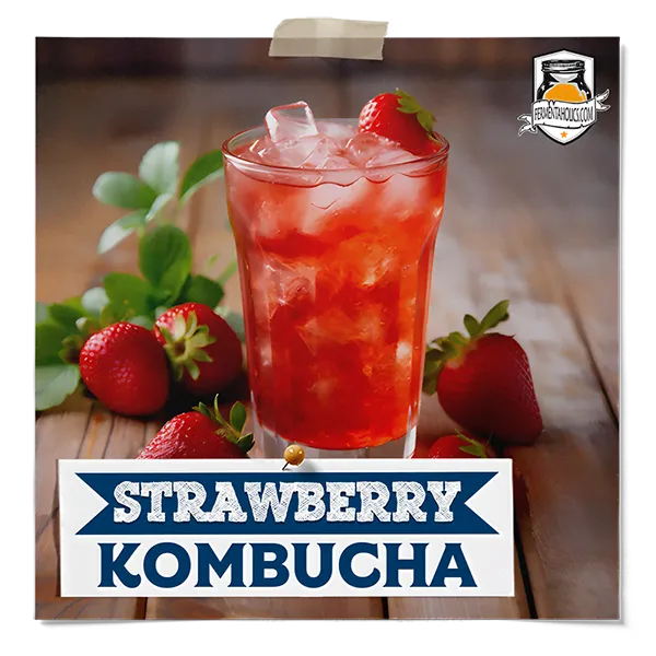 Strawberry Kombucha Recipe