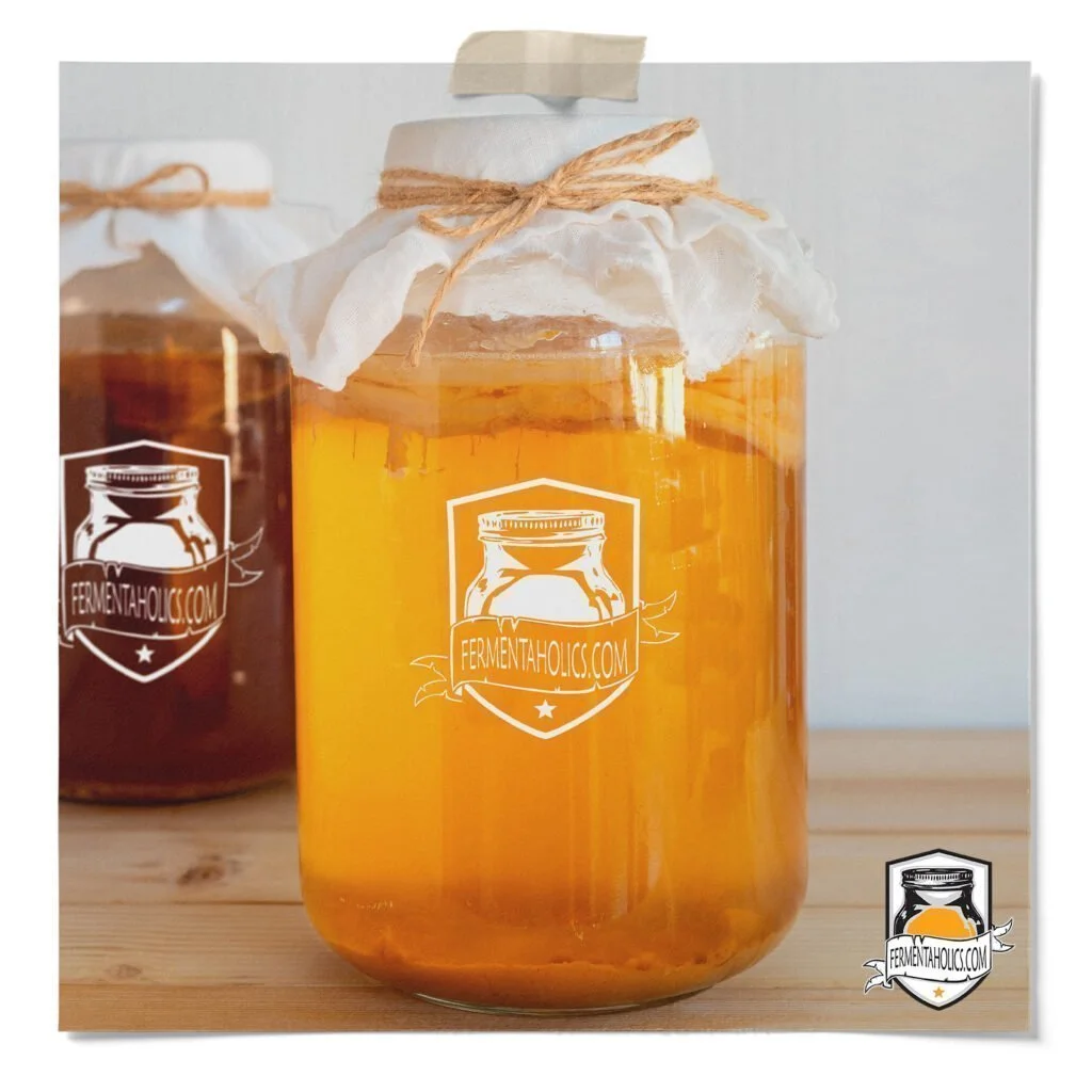Kombucha Brewing Guide