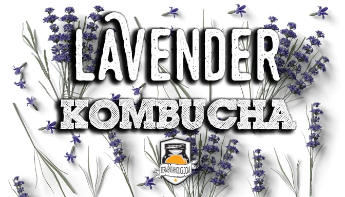 Lavender Kombucha