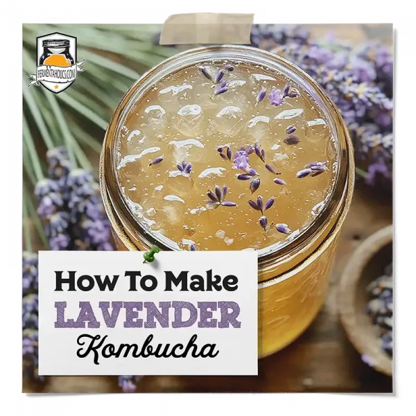 Lavender Kombucha