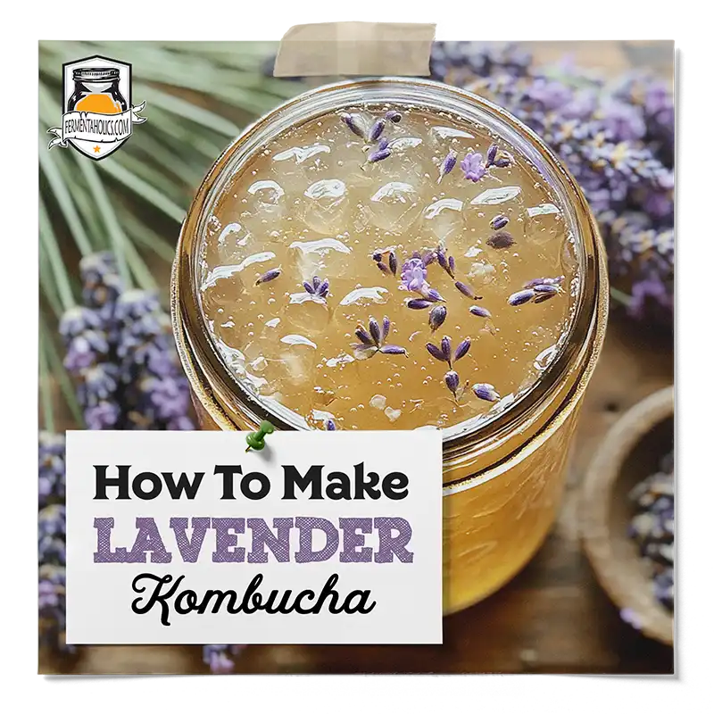 Lavender Kombucha