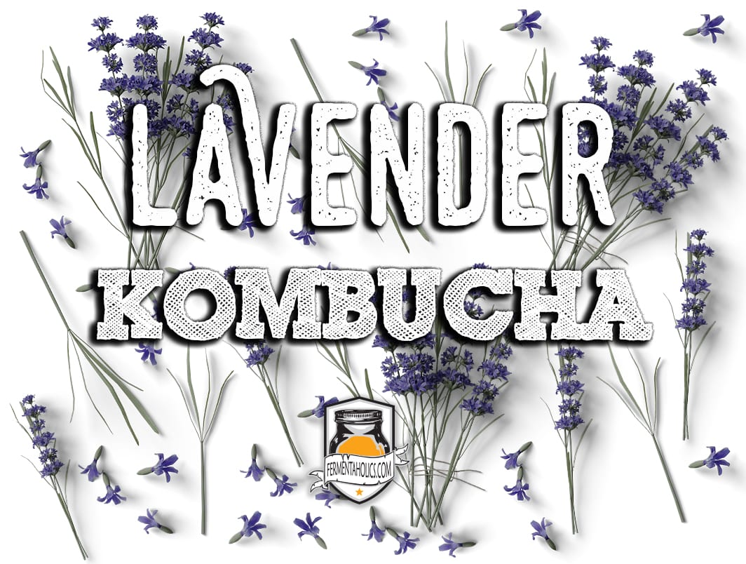 Lavender Kombucha Recipe