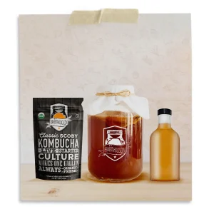 Kombucha Stout Bottles Kit