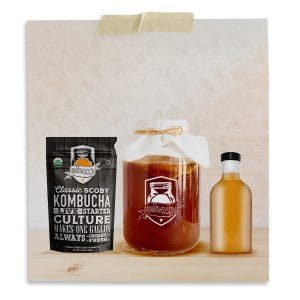 Stout Bottles for Kombucha