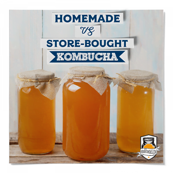 How Much Does Kombucha Cost