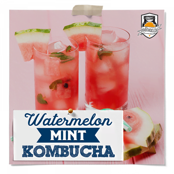 Watermelon Mint Kombucha Recipe
