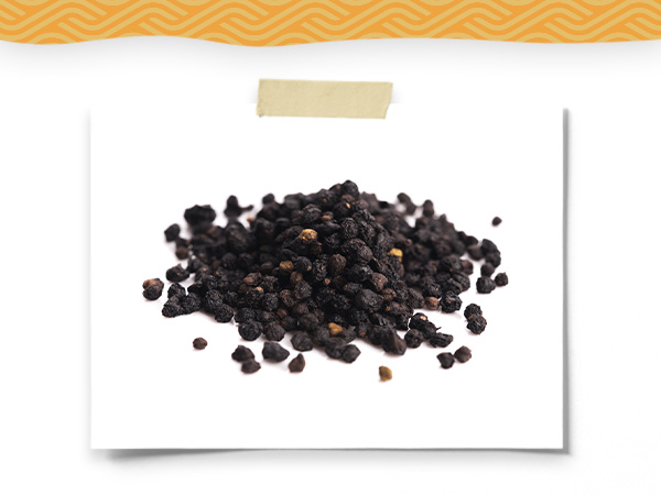 Organic Elderberry Syrup Kit
