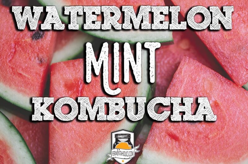 How to Make Watermelon Mint Kombucha A Refreshing and Healthy Drink