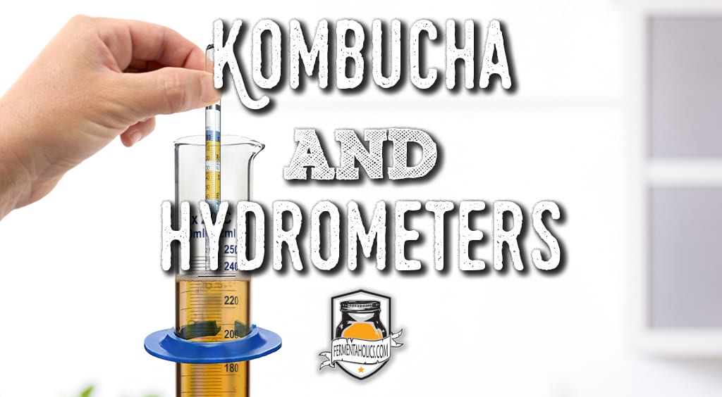 kombucha and hydrometers