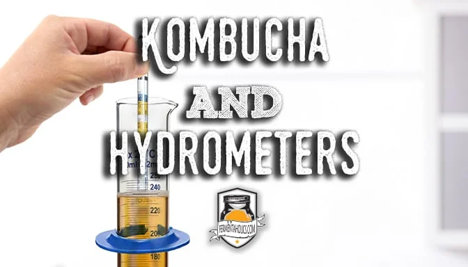kombucha and hyrometer