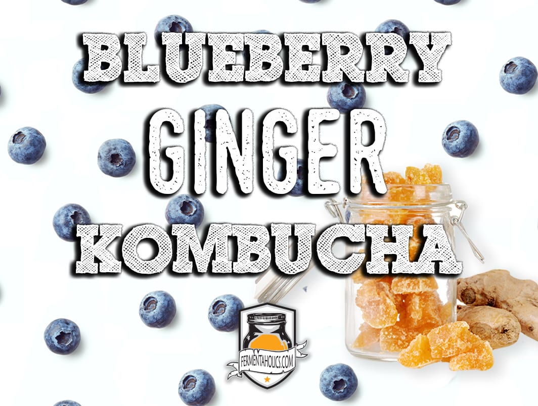 Blueberry Ginger Kombucha Recipe