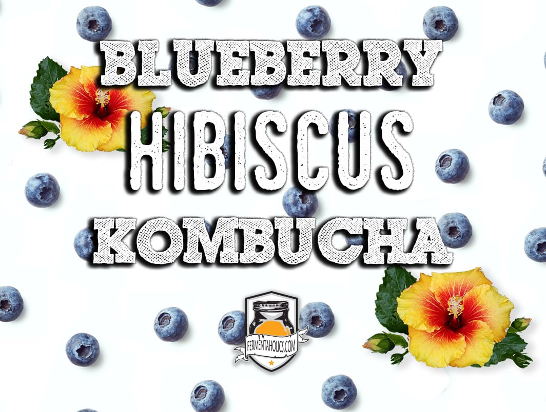 Blueberry Hibiscus Kombucha Recipe