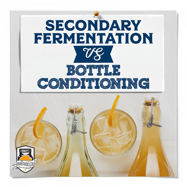 Secondary Fermentation Vs Bottle Conditioning