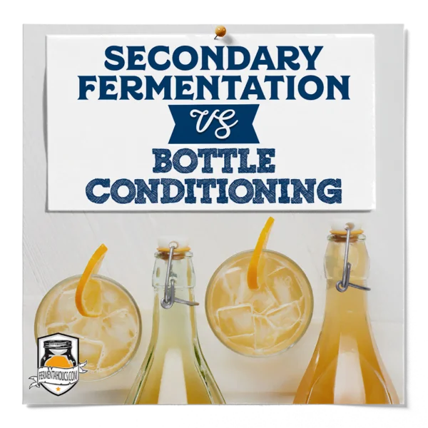 Secondary Fermentation Vs Bottle Conditioning