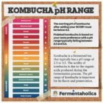 Ph Test Strips Balance Range