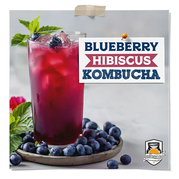Blueberry Hibiscus Kombucha