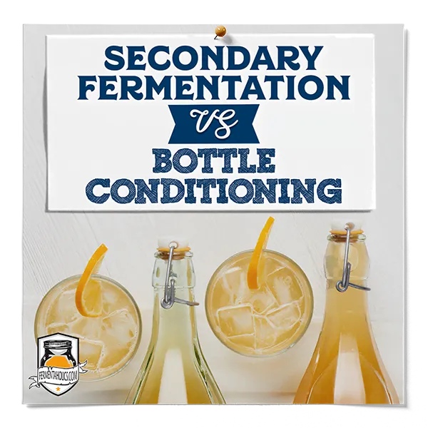 Secondary Fermentation Vs Bottle Conditioning