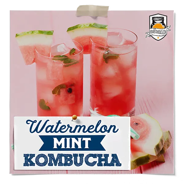 Watermelon Mint Kombucha