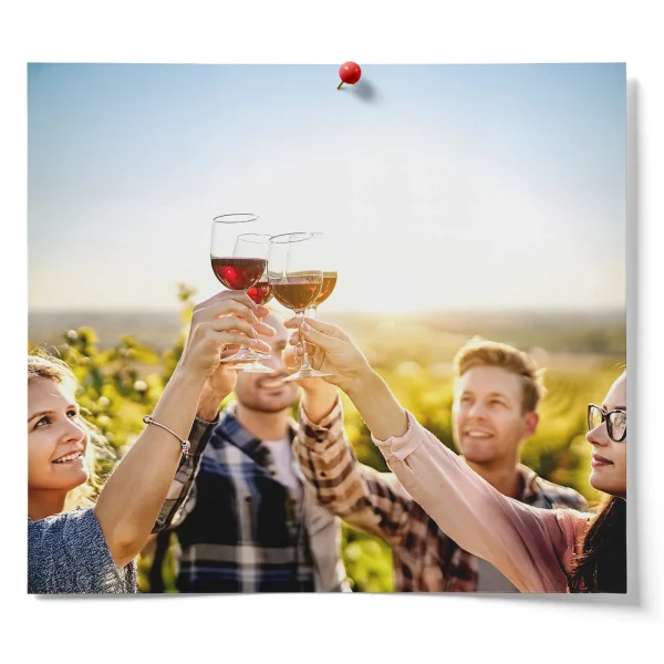 Active Dry Yeast For Wine Making