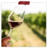 Yeast For Wine