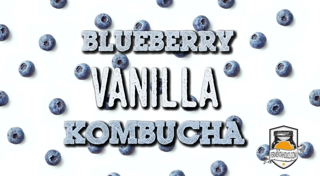blueberry vanilla kombucha recipe