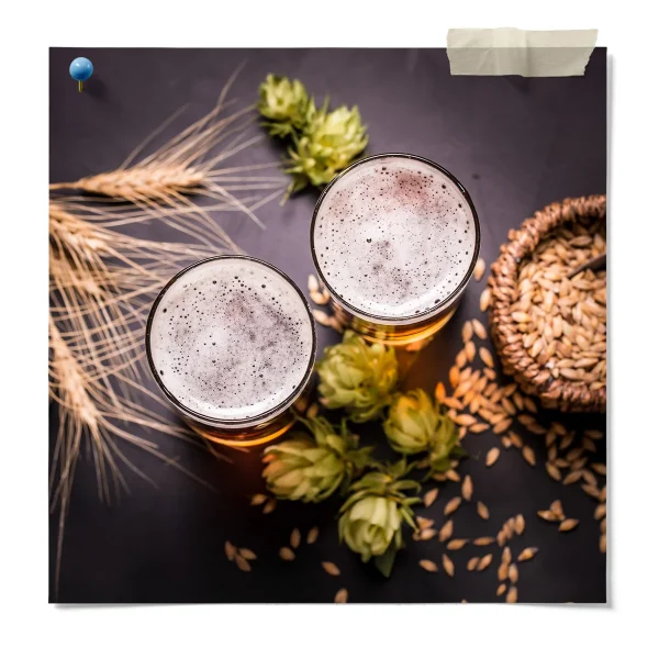 Beer Dry Yeast