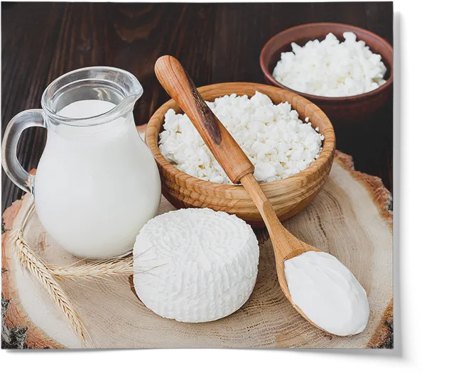 Liquid Microbial Rennet For Cheesemaking
