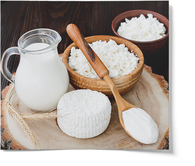 Liquid Microbial Rennet For Cheesemaking