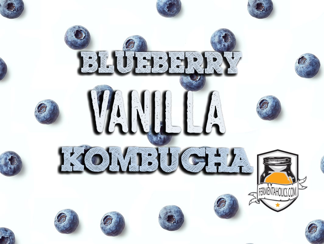 Blueberry Vanilla Kombucha Recipe