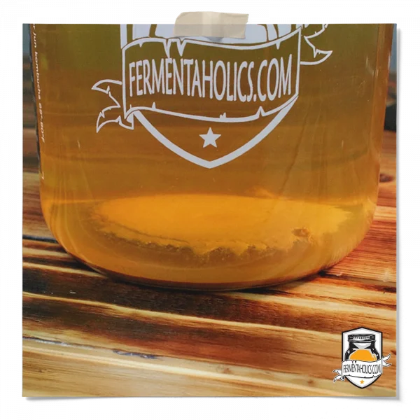 Yeast At The Bottom Of My Kombucha